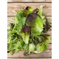 Schnittsalatmix