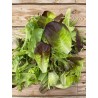 Schnittsalatmix