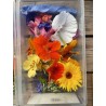 Blüten - essbare Blüten 60 Stk.