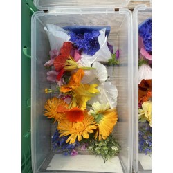 Blüten - essbare Blüten 60 Stk.
