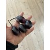 Cocktail Aubergine "Bambino"